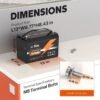 LiTime 12V 100Ah Smart LiFePO4 Lithium Battery with Bluetooth & Low-Temp Protection